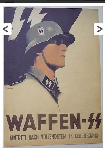 Waffen ss poster