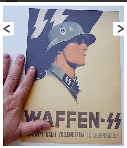 Waffen ss poster