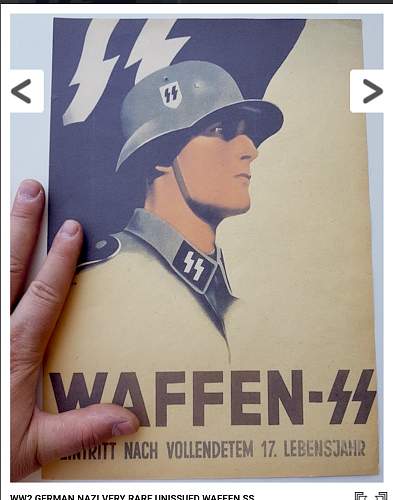 Waffen ss poster