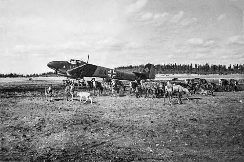 Photo of Jagdgeschwader 5 aircraft with &quot;Eisbär&quot; shield