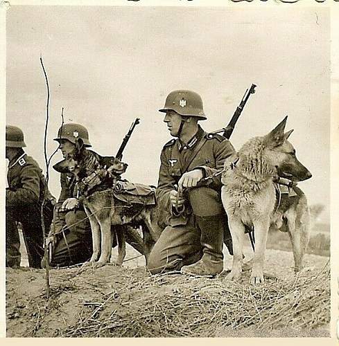 Soldiers and animals :)