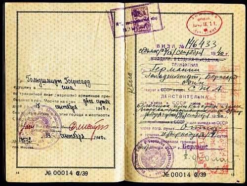 Some text in Russian, in a  passport...help!