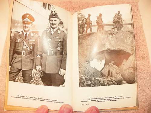 Der Feldzug in Polen (The Campaign in Poland) Book