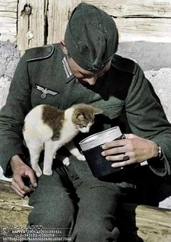 Soldiers and animals :)