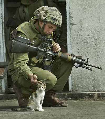 Soldiers and animals :)