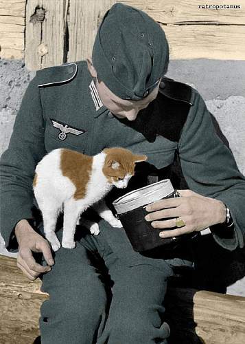 Soldiers and animals :)