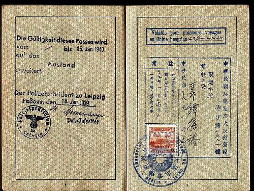 German hand writing in a passport...?