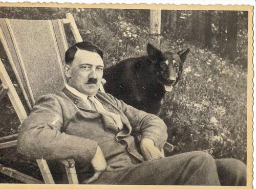 Hitler photos - never seen before?