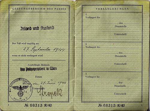 nice war-time passport