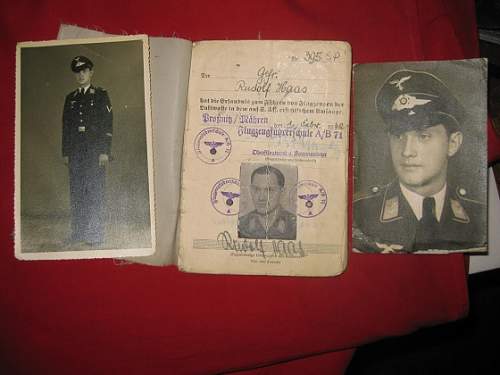 Luftwaffen Pilots License