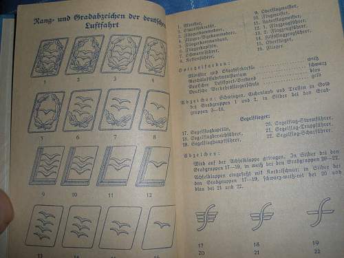 Adolf Pirker:SA Wehrabzeichen book