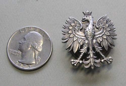 Polishboys small Eagle collection &amp; pins