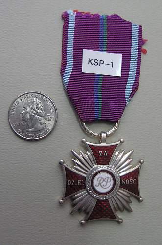 Polishboys polish cross of merit collection