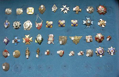 POLISHBOYS BADGES AND MEDALS COLLECTION ( Preliminary)