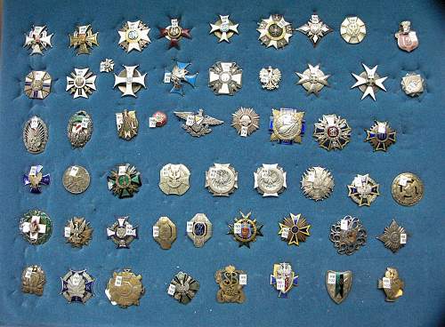 POLISHBOYS BADGES AND MEDALS COLLECTION ( Preliminary)