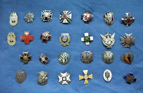 POLISHBOYS BADGES AND MEDALS COLLECTION ( Preliminary)