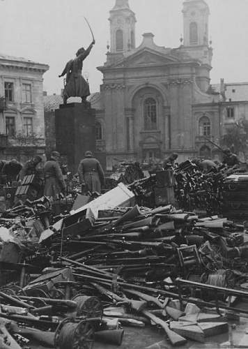 Pistols, Rifles, Machine Guns and Crew Served Weapons of Partitioned Poland and the Polish 2nd Republic