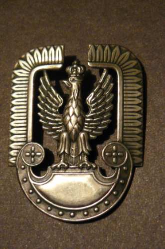 Polish Air Force badge