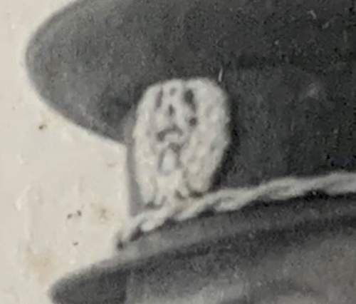 Help needed with cap badge