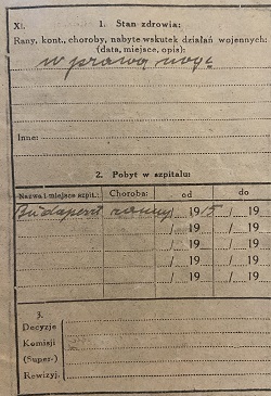 WW1 Polish Soldiers Records