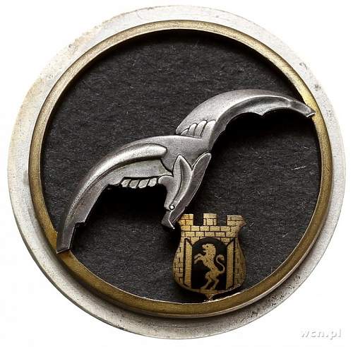 Can anyone show an original  example of a pre-war  Knedler, 6th Air Regiment badge
