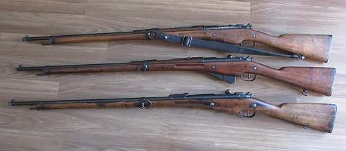 Pistols, Rifles, Machine Guns and Crew Served Weapons of Partitioned Poland and the Polish 2nd Republic