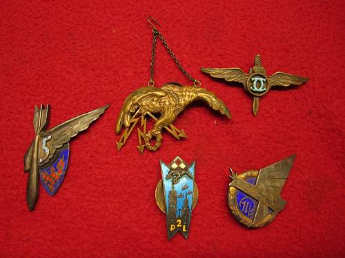 Polish pilot and 1 a 2 regiment badges, pilot badge etc.