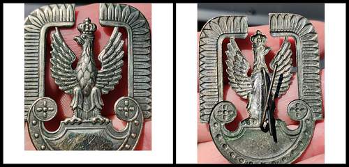 WW2 Polish AF Hat Badge ?