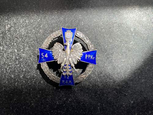 WW2 Polish Badge