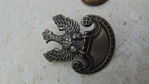 Polish Head Eagle Badge