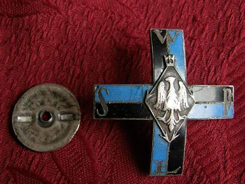 Polish Signal Cadet Regimental Badge