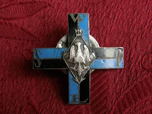 Polish Signal Cadet Regimental Badge