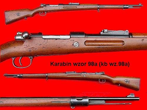 Pistols, Rifles, Machine Guns and Crew Served Weapons of Partitioned Poland and the Polish 2nd Republic