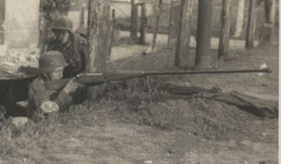 Pistols, Rifles, Machine Guns and Crew Served Weapons of Partitioned Poland and the Polish 2nd Republic