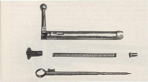 Pistols, Rifles, Machine Guns and Crew Served Weapons of Partitioned Poland and the Polish 2nd Republic