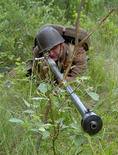 Pistols, Rifles, Machine Guns and Crew Served Weapons of Partitioned Poland and the Polish 2nd Republic