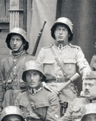 Pistols, Rifles, Machine Guns and Crew Served Weapons of Partitioned Poland and the Polish 2nd Republic