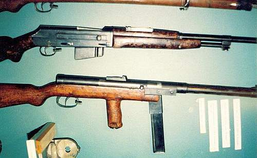 Pistols, Rifles, Machine Guns and Crew Served Weapons of Partitioned Poland and the Polish 2nd Republic