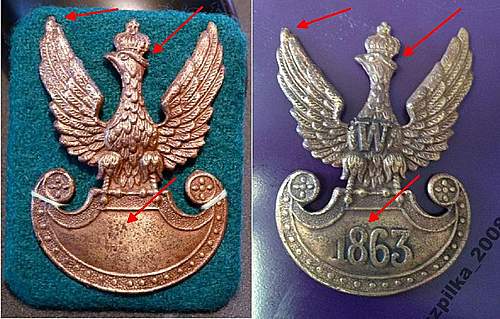 Polish Eagles WWI and WWII