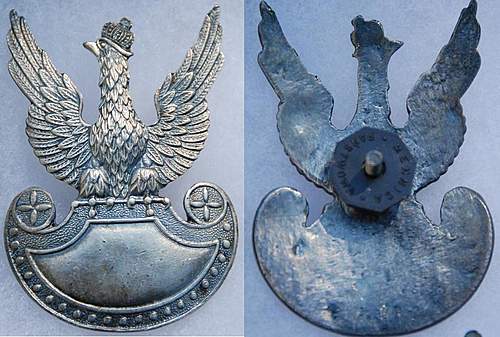 Polish Eagles WWI and WWII