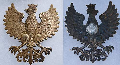 Polish Eagles WWI and WWII