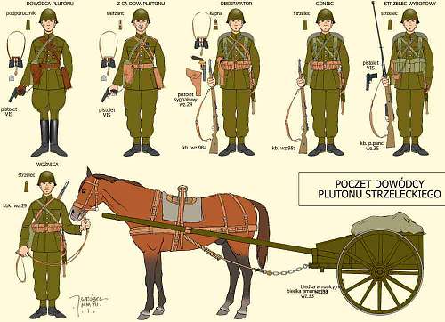 Correct Polish phrase for a horse-drawn military wagon or cart driver?