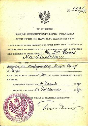 Selection of old Polish passports...