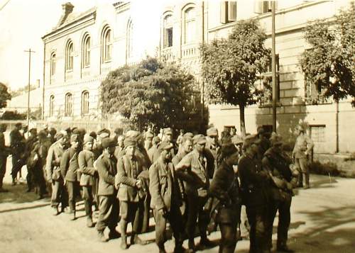 Polish soldier photos