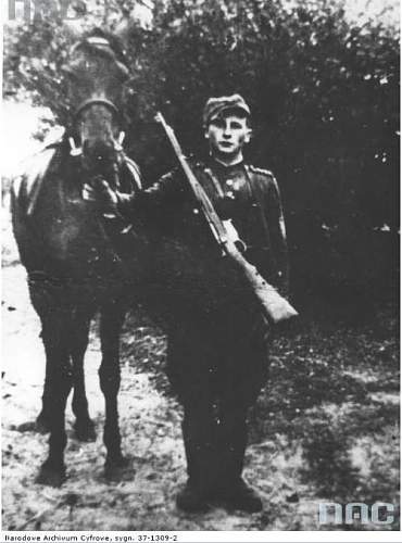 Pistols, Rifles, Machine Guns and Crew Served Weapons of Partitioned Poland and the Polish 2nd Republic