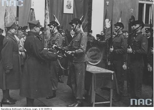 Pistols, Rifles, Machine Guns and Crew Served Weapons of Partitioned Poland and the Polish 2nd Republic