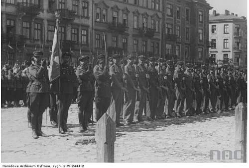 Pistols, Rifles, Machine Guns and Crew Served Weapons of Partitioned Poland and the Polish 2nd Republic