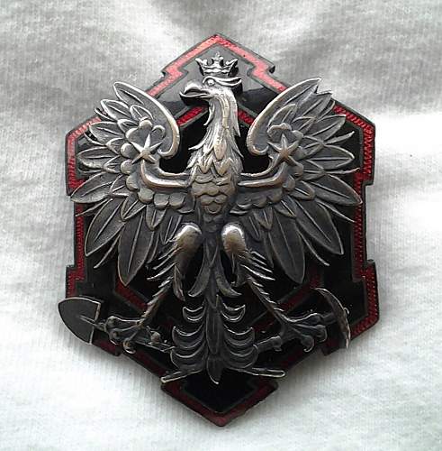 Polish pre war badge  for opinion