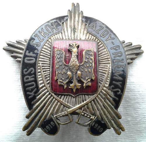 Polish pre war badge  for opinion