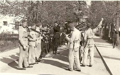 Identify uniforms in pictures......KOP, police?